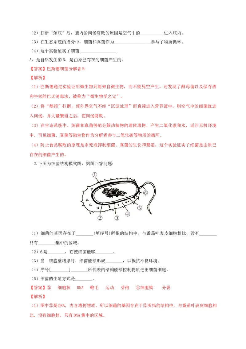 5.4.2细菌（备作业）-（人教版）（解析版）_初中全科电子版试卷练习试题_生物_生物8上练习_人教生物8年级上课时练习37份_第2套八年级生物上册课时练习（人教版）21份