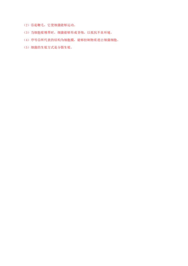 5.4.2细菌（备作业）-（人教版）（解析版）_初中全科电子版试卷练习试题_生物_生物8上练习_人教生物8年级上课时练习37份_第2套八年级生物上册课时练习（人教版）21份