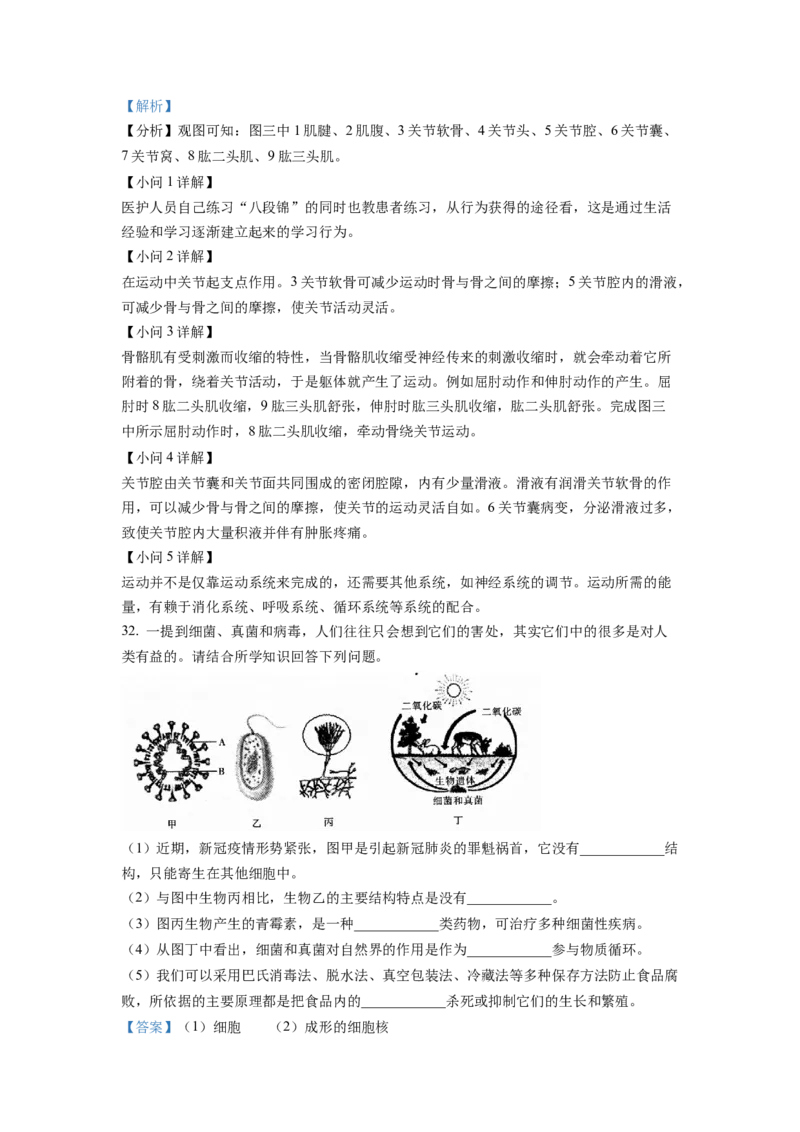 1八年级上学期期末生物试题（解析版）_初中全科电子版试卷练习试题_生物_生物8上练习_人教生物8年级上期末试卷10份