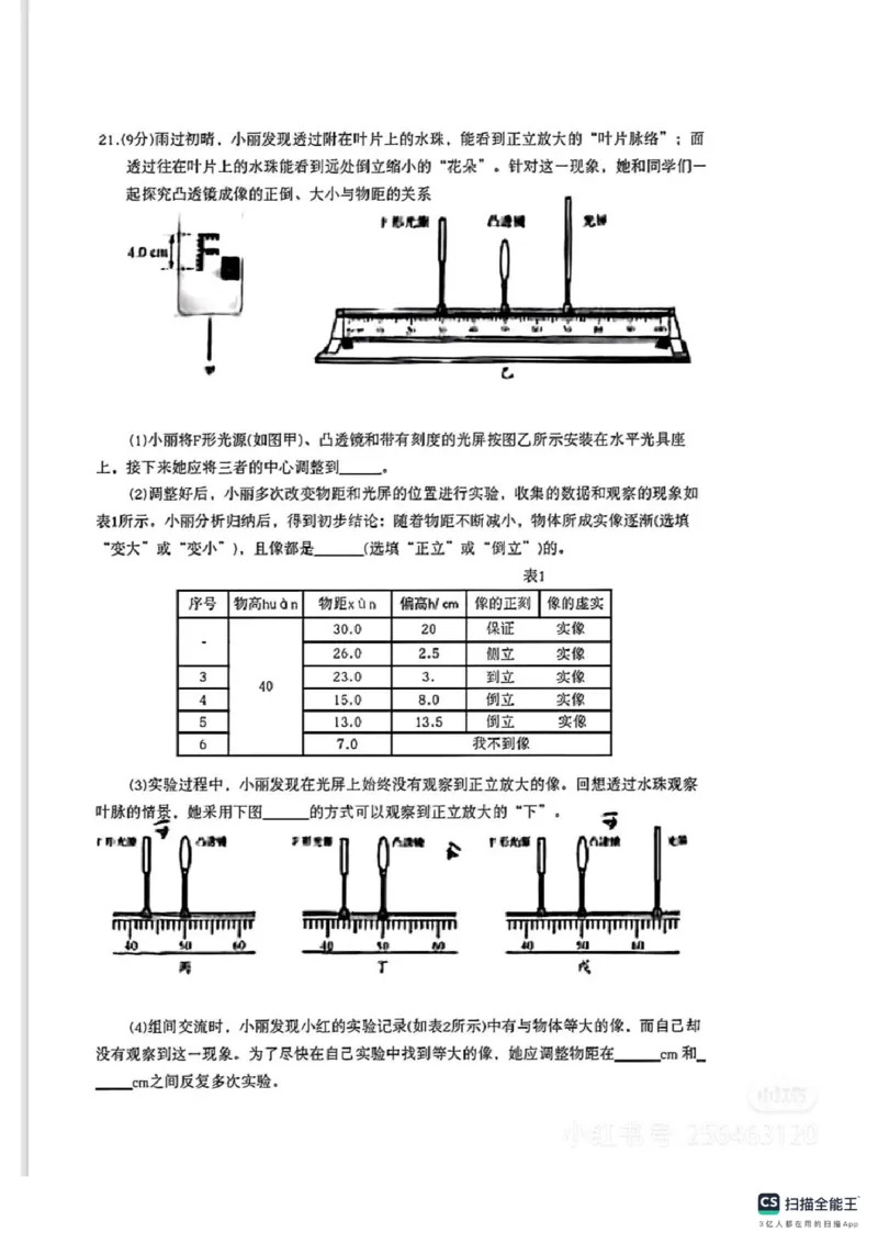 2025年山东省统考物理真题原卷_山东历年中考真题_山东省2025中考题_山东省统考（临沂、枣庄、聊城、菏泽）_物理（真题+答案）