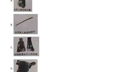 2021年山东省东营市中考历史试题及答案_山东历年中考真题_山东省历年中考真题2013~2024_初中历史历年真题（2013-2024）