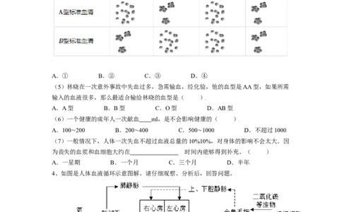 4.4.4输血与血型（原卷版）_初中全科电子版试卷练习试题_生物_生物人教版7下练习_人教生物7年级下课时练习40份_第2套七年级生物下册课时练习（人教版）20份