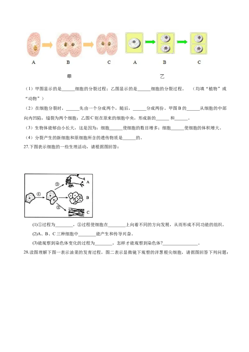 2.2章末检测（原卷版）_初中全科电子版试卷练习试题_生物_生物人教版7上练习&mdash;24新版已更新_人教生物7年级上单元试卷36份_第3套七年级生物上册单元试卷（人教版）06份