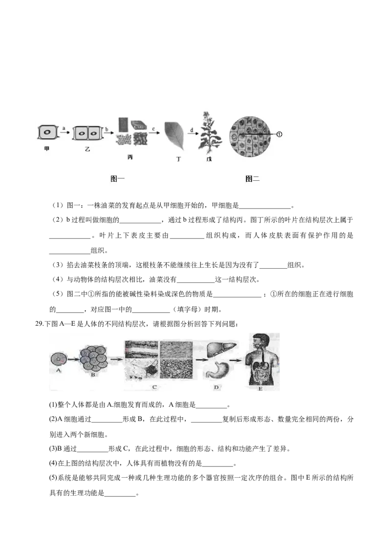 2.2章末检测（原卷版）_初中全科电子版试卷练习试题_生物_生物人教版7上练习&mdash;24新版已更新_人教生物7年级上单元试卷36份_第3套七年级生物上册单元试卷（人教版）06份