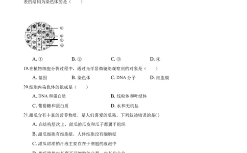 2.2章末检测（原卷版）_初中全科电子版试卷练习试题_生物_生物人教版7上练习&mdash;24新版已更新_人教生物7年级上单元试卷36份_第3套七年级生物上册单元试卷（人教版）06份
