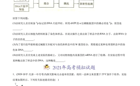 专题20实验与探究-2021年高考生物真题与模拟题分类训练（学生版）_新高考复习资料_2023年新高考复习资料_一轮复习_2023年新高考大一轮复习讲义_赠2021年高考生物真题与模拟题分类训练