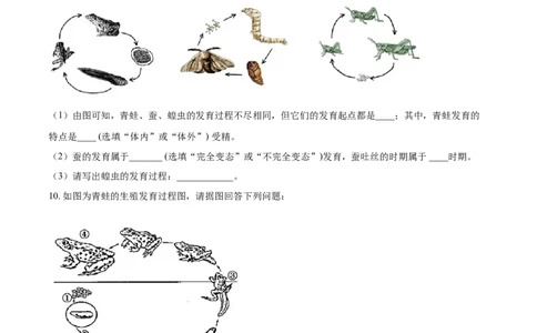 7.1.3两栖动物的生殖和发育（基础练）-（人教版）（原卷版）_初中全科电子版试卷练习试题_生物_生物8下练习_人教生物8年级下课时练习51份