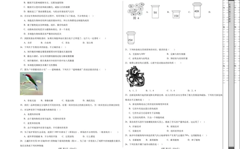 2024年中考押题预测卷01（海南卷）-生物（考试版A3）_初中全科电子版试卷练习试题_生物_2024中考模拟题生物(1)_押题预测