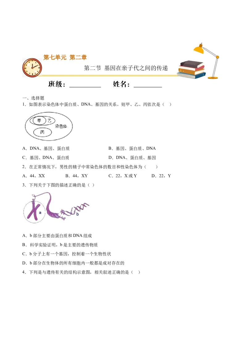 7.2.2基因在亲子代间的传递（基础练）-（人教版）（原卷版）_初中全科电子版试卷练习试题_生物_生物8下练习_人教生物8年级下课时练习51份