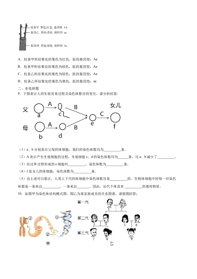 7.2.2基因在亲子代间的传递（基础练）-（人教版）（原卷版）_初中全科电子版试卷练习试题_生物_生物8下练习_人教生物8年级下课时练习51份