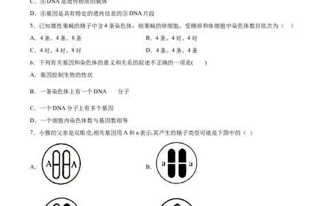 7.2.2基因在亲子代间的传递（基础练）-（人教版）（原卷版）_初中全科电子版试卷练习试题_生物_生物8下练习_人教生物8年级下课时练习51份