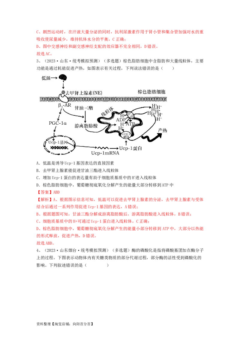 专题25体液调节（精练）（解析版）_新高考复习资料_2024年新高考复习资料_一轮复习资料_完备战2024年高考生物一轮复习串讲精练（新高考专用）_精练_解析版