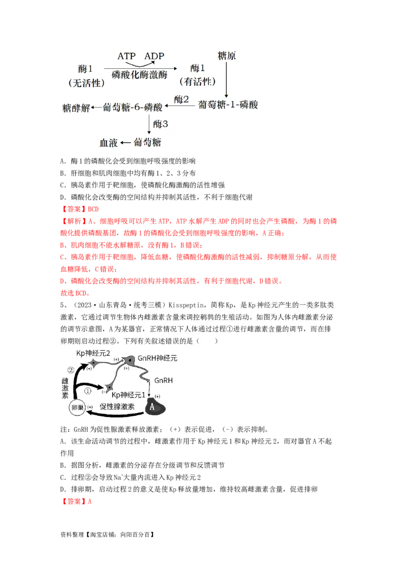 专题25体液调节（精练）（解析版）_新高考复习资料_2024年新高考复习资料_一轮复习资料_完备战2024年高考生物一轮复习串讲精练（新高考专用）_精练_解析版