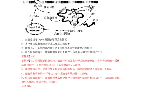 专题25体液调节（精练）（解析版）_新高考复习资料_2024年新高考复习资料_一轮复习资料_完备战2024年高考生物一轮复习串讲精练（新高考专用）_精练_解析版