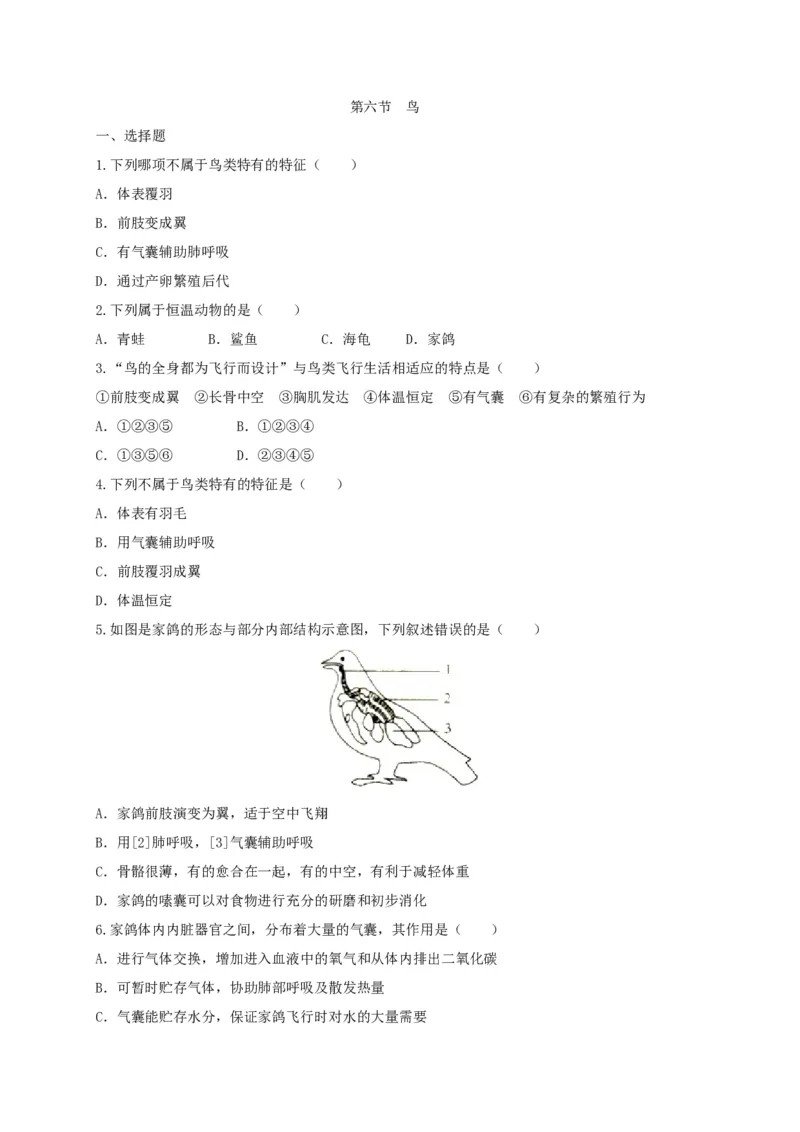 5.1.6鸟（备作业）-（人教版）（原卷版）_初中全科电子版试卷练习试题_生物_生物8上练习_人教生物8年级上课时练习37份_第2套八年级生物上册课时练习（人教版）21份