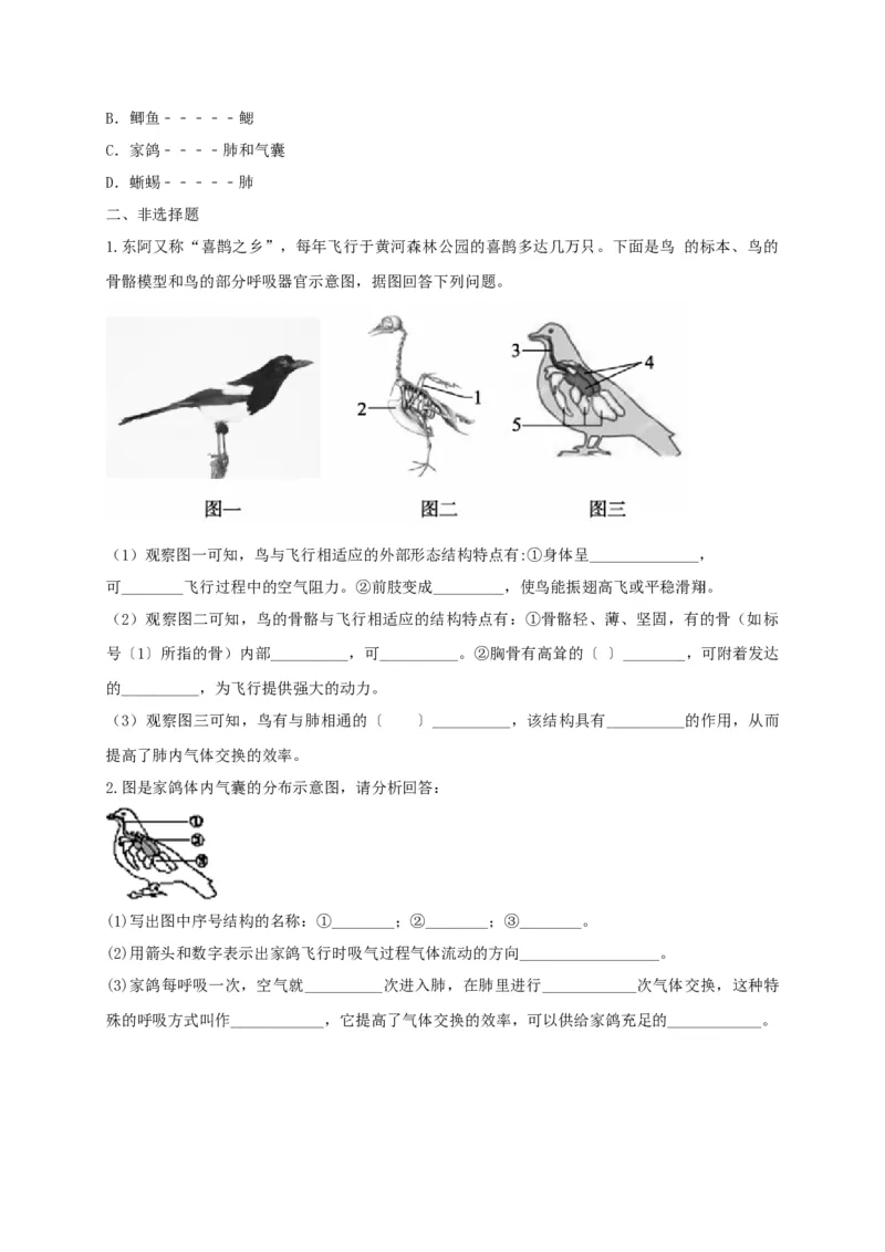 5.1.6鸟（备作业）-（人教版）（原卷版）_初中全科电子版试卷练习试题_生物_生物8上练习_人教生物8年级上课时练习37份_第2套八年级生物上册课时练习（人教版）21份
