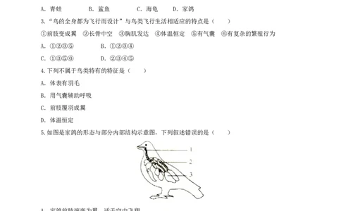 5.1.6鸟（备作业）-（人教版）（原卷版）_初中全科电子版试卷练习试题_生物_生物8上练习_人教生物8年级上课时练习37份_第2套八年级生物上册课时练习（人教版）21份