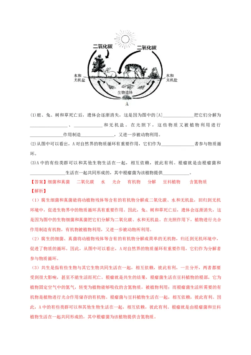 5.4.4细菌和真菌在自然界中的作用（备作业）-（人教版）（解析版）_初中全科电子版试卷练习试题_生物_生物8上练习_人教生物8年级上课时练习37份