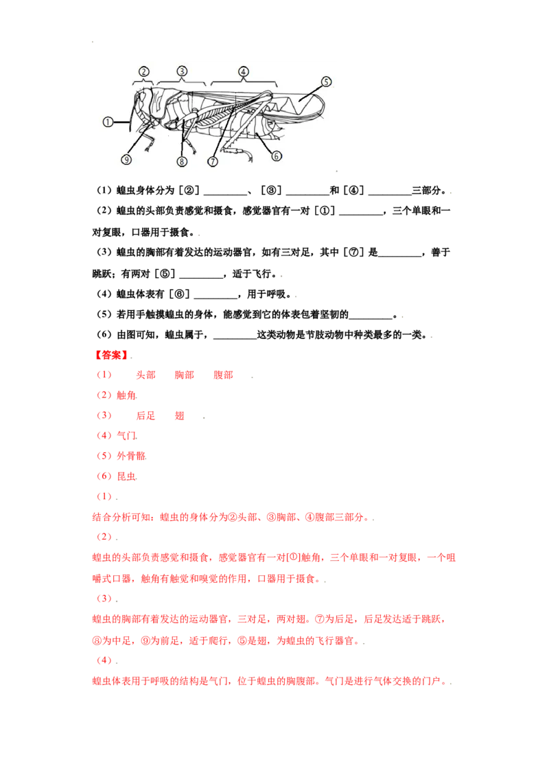 5.1.3软体动物和节肢动物（练习）（解析版）_初中全科电子版试卷练习试题_生物_生物8上练习_人教生物8年级上课时练习37份_第1套八年级生物上册课时练习（人教版）16份