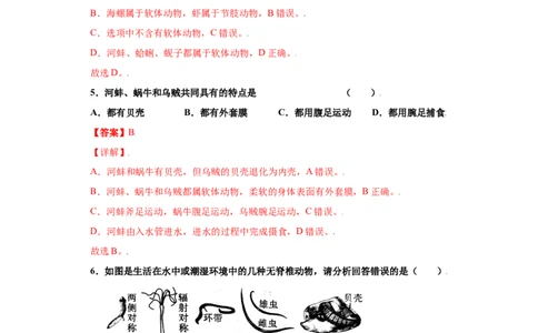 5.1.3软体动物和节肢动物（练习）（解析版）_初中全科电子版试卷练习试题_生物_生物8上练习_人教生物8年级上课时练习37份_第1套八年级生物上册课时练习（人教版）16份
