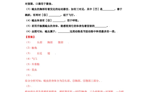5.1.3软体动物和节肢动物（练习）（解析版）_初中全科电子版试卷练习试题_生物_生物8上练习_人教生物8年级上课时练习37份_第1套八年级生物上册课时练习（人教版）16份