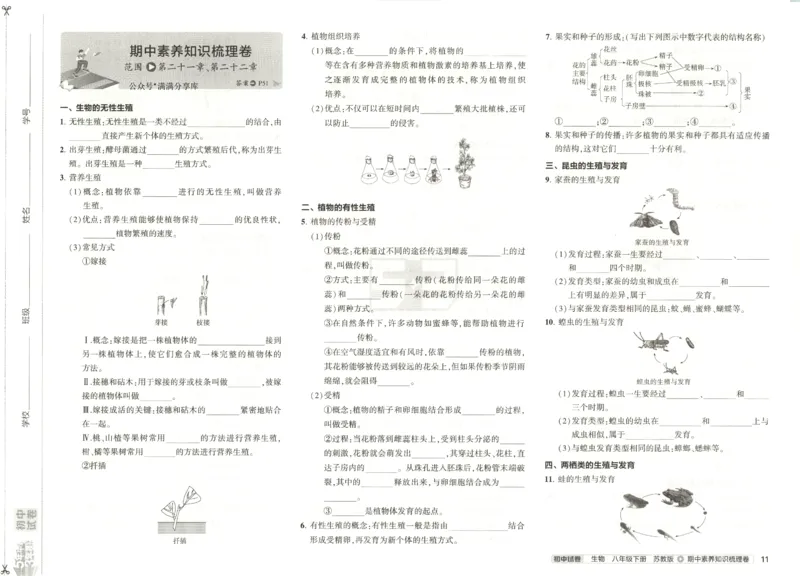 2025春53初中试卷生物苏教版8年级下册(1)_初中全科电子版试卷练习试题_初中全科《53中考试卷》2025版（多版本）