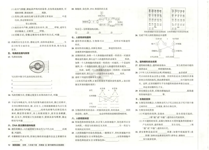 2025春53初中试卷生物苏教版8年级下册(1)_初中全科电子版试卷练习试题_初中全科《53中考试卷》2025版（多版本）
