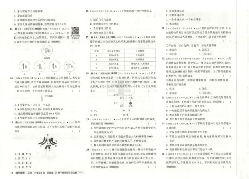 2025春53初中试卷生物苏教版8年级下册(1)_初中全科电子版试卷练习试题_初中全科《53中考试卷》2025版（多版本）