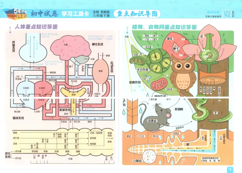 2025春53初中试卷生物苏教版8年级下册(1)_初中全科电子版试卷练习试题_初中全科《53中考试卷》2025版（多版本）
