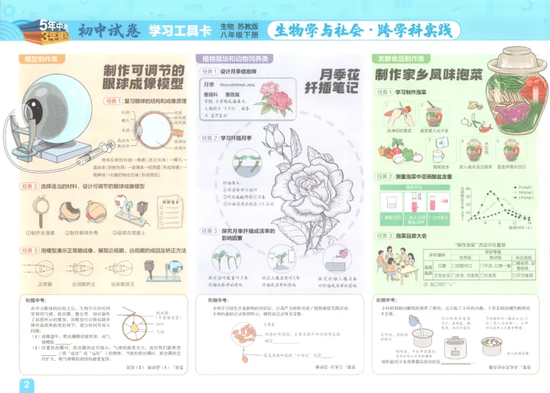 2025春53初中试卷生物苏教版8年级下册(1)_初中全科电子版试卷练习试题_初中全科《53中考试卷》2025版（多版本）