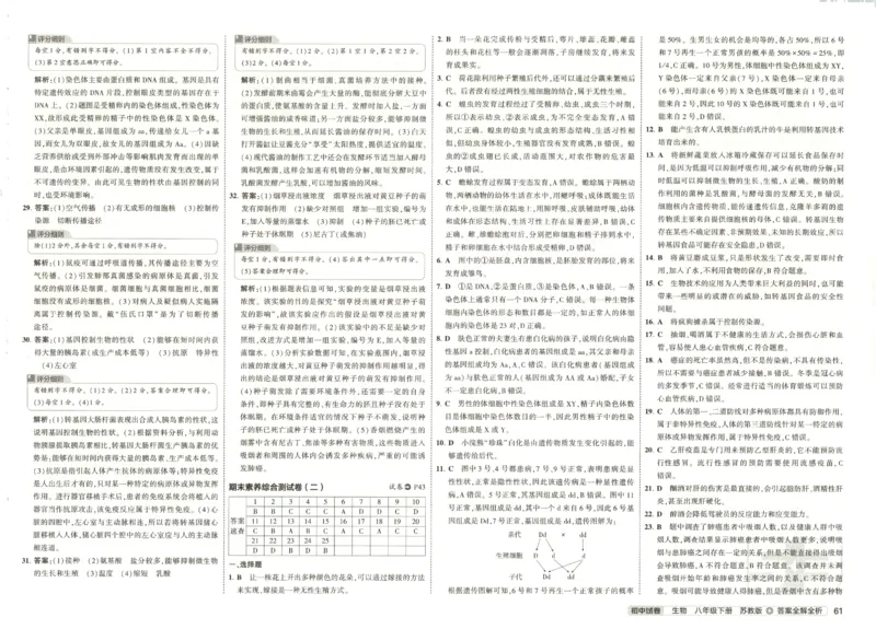 2025春53初中试卷生物苏教版8年级下册(1)_初中全科电子版试卷练习试题_初中全科《53中考试卷》2025版（多版本）