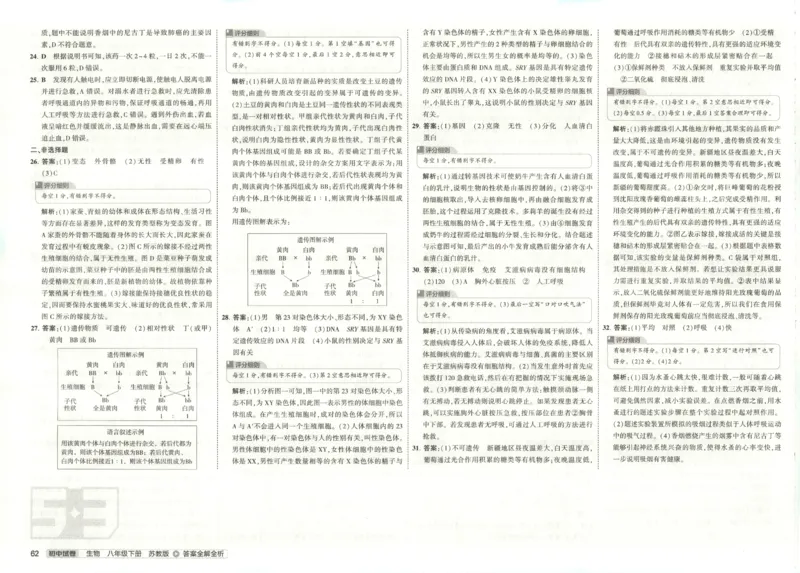 2025春53初中试卷生物苏教版8年级下册(1)_初中全科电子版试卷练习试题_初中全科《53中考试卷》2025版（多版本）
