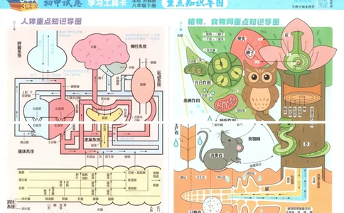 2025春53初中试卷生物苏教版8年级下册(1)_初中全科电子版试卷练习试题_初中全科《53中考试卷》2025版（多版本）