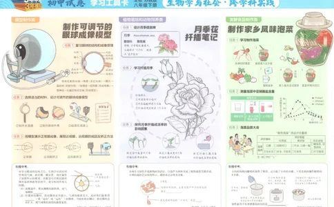 2025春53初中试卷生物苏教版8年级下册(1)_初中全科电子版试卷练习试题_初中全科《53中考试卷》2025版（多版本）