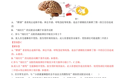 4.6.3神经调节的基本方式（解析版）_初中全科电子版试卷练习试题_生物_生物人教版7下练习_人教生物7年级下课时练习40份_第2套七年级生物下册课时练习（人教版）20份