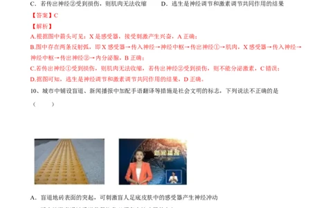 4.6.3神经调节的基本方式（解析版）_初中全科电子版试卷练习试题_生物_生物人教版7下练习_人教生物7年级下课时练习40份_第2套七年级生物下册课时练习（人教版）20份