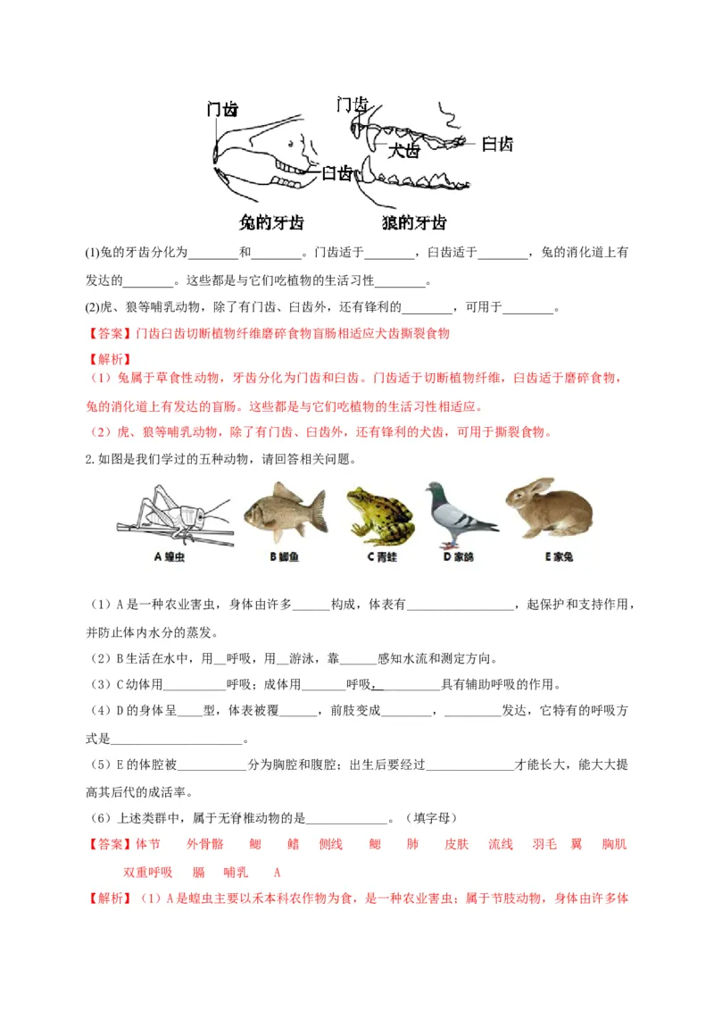 5.1.7哺乳动物（备作业）-（人教版）（解析版）_初中全科电子版试卷练习试题_生物_生物8上练习_人教生物8年级上课时练习37份_第2套八年级生物上册课时练习（人教版）21份