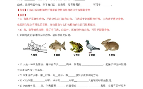 5.1.7哺乳动物（备作业）-（人教版）（解析版）_初中全科电子版试卷练习试题_生物_生物8上练习_人教生物8年级上课时练习37份_第2套八年级生物上册课时练习（人教版）21份