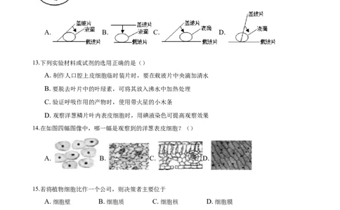 2.1章末检测（原卷版）_初中全科电子版试卷练习试题_生物_生物人教版7上练习&mdash;24新版已更新_人教生物7年级上单元试卷36份_第3套七年级生物上册单元试卷（人教版）06份