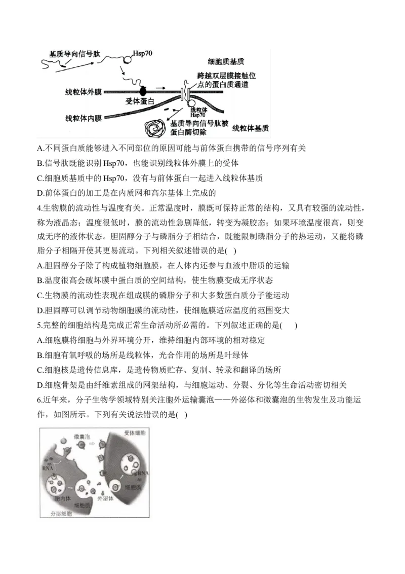 专题2细胞的结构与物质运输（选择题）&mdash;&mdash;2025届高考生物学模块分练新高考版（含解析）_2025年新高考资料_二轮复习