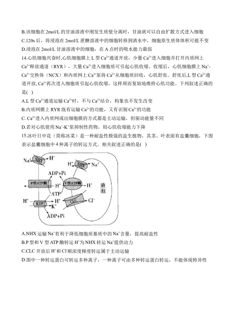 专题2细胞的结构与物质运输（选择题）&mdash;&mdash;2025届高考生物学模块分练新高考版（含解析）_2025年新高考资料_二轮复习