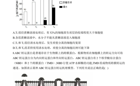 专题2细胞的结构与物质运输（选择题）&mdash;&mdash;2025届高考生物学模块分练新高考版（含解析）_2025年新高考资料_二轮复习