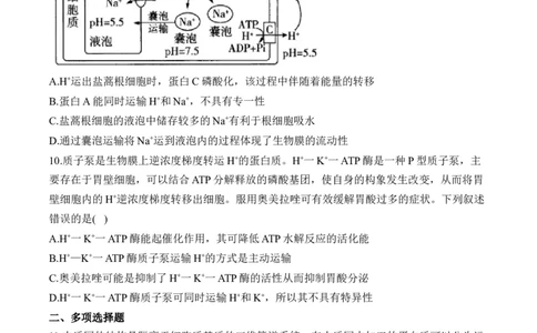 专题2细胞的结构与物质运输（选择题）&mdash;&mdash;2025届高考生物学模块分练新高考版（含解析）_2025年新高考资料_二轮复习