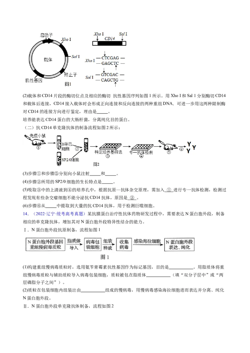 专题20细胞工程与胚胎工程-学易金卷：五年（2019-2023）高考生物真题分项汇编（全国通用）（原卷版）_通用版（老高考）复习资料_2024年复习资料