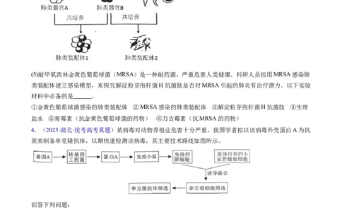 专题20细胞工程与胚胎工程-学易金卷：五年（2019-2023）高考生物真题分项汇编（全国通用）（原卷版）_通用版（老高考）复习资料_2024年复习资料