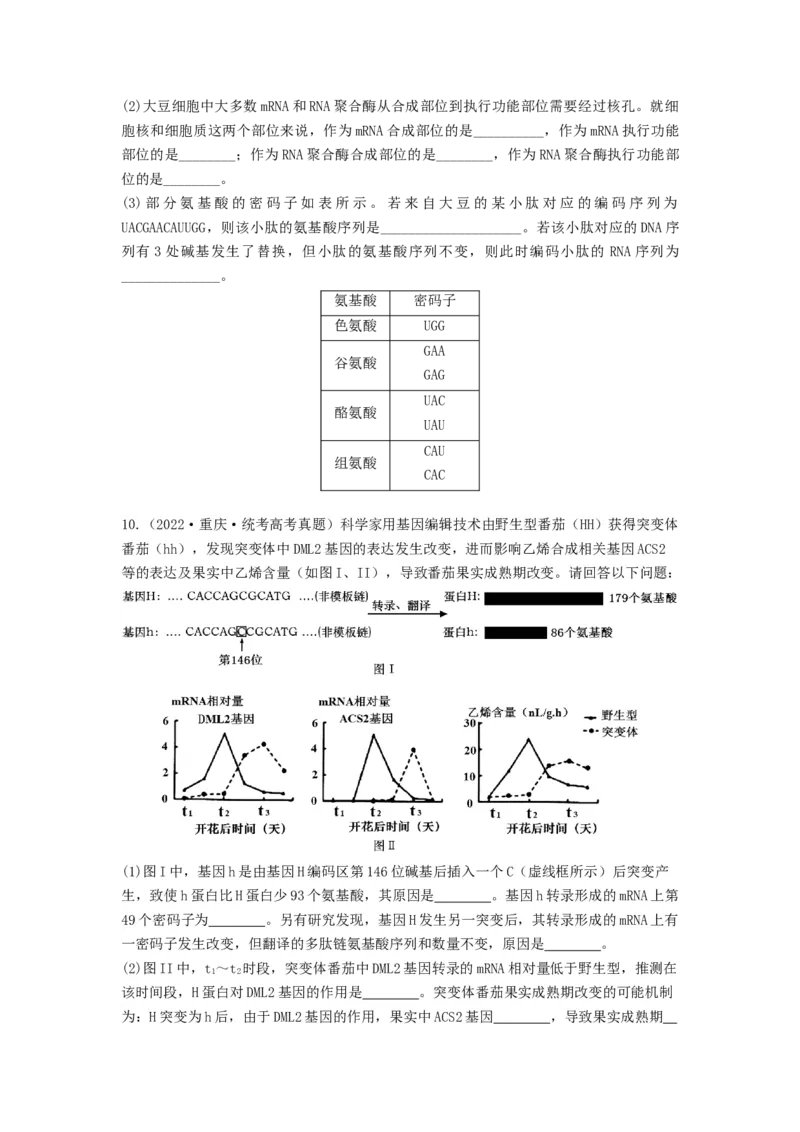 专题19基因的表达（串讲）（原卷版）_新高考复习资料_2024年新高考复习资料_一轮复习资料_完备战2024年高考生物一轮复习串讲精练（新高考专用）_串讲