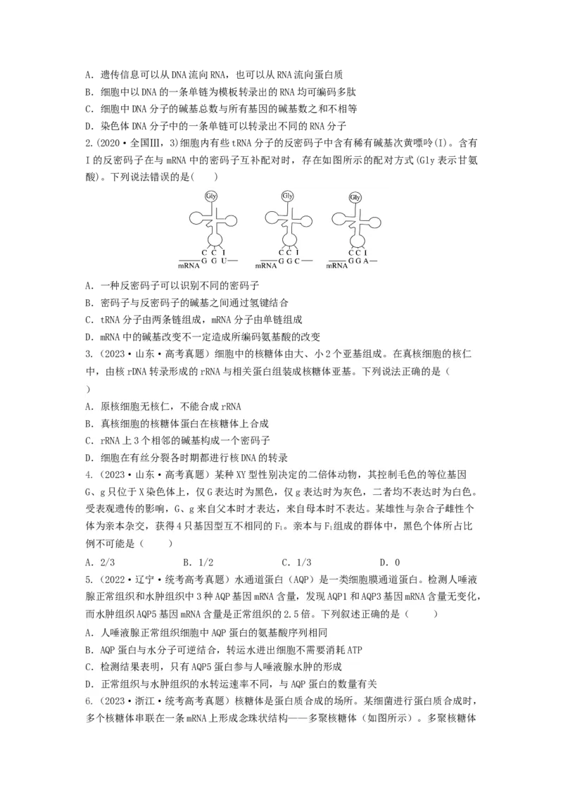 专题19基因的表达（串讲）（原卷版）_新高考复习资料_2024年新高考复习资料_一轮复习资料_完备战2024年高考生物一轮复习串讲精练（新高考专用）_串讲
