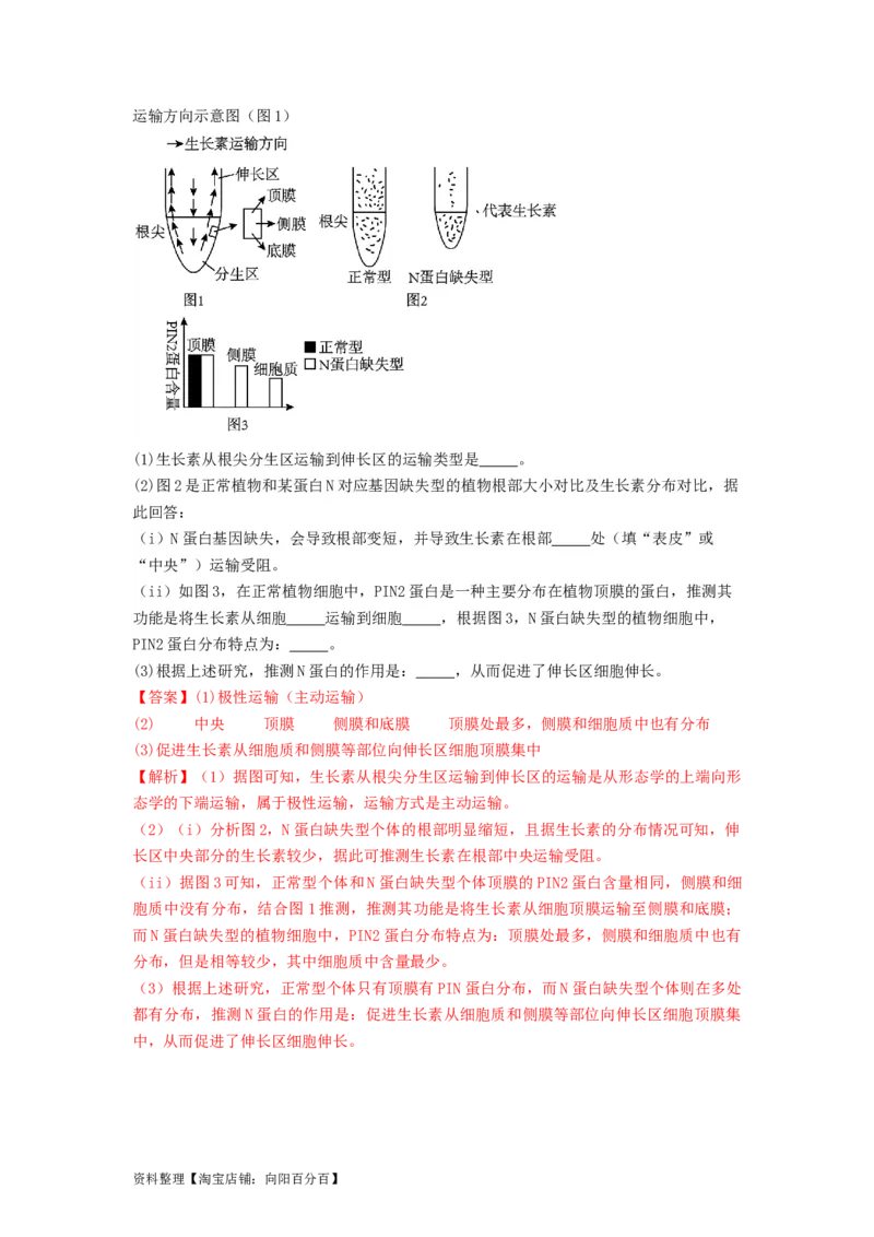 专题27植物生命活动的调节（串讲）（解析版）_新高考复习资料_2024年新高考复习资料_一轮复习资料_完备战2024年高考生物一轮复习串讲精练（新高考专用）_串讲_解析版
