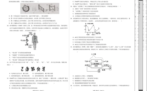 2024年中考押题预测卷（深圳卷）-生物（考试版）A3_初中全科电子版试卷练习试题_生物_2024中考模拟题生物(1)_押题预测