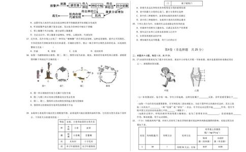 2024年中考押题预测卷（深圳卷）-生物（考试版）A3_初中全科电子版试卷练习试题_生物_2024中考模拟题生物(1)_押题预测